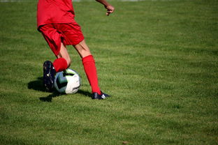 kaiyun中国官方网站-英超青训体系中情绪调节训练对青少年比赛焦虑的控制作用,英超青训球员定义